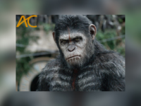 Especial Planeta dos Macacos: Star Life exibe maratona da clássica série de filmes