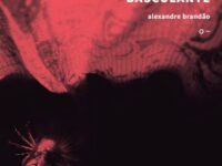 O SOL PELO BASCULANTE : Escritor Alexandre Brandão lança novo livro de poesias que nos lembram o poder e a importância do sentimento de empatia