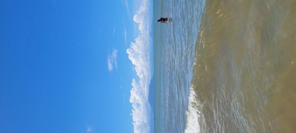 Mulher viaja sozinha