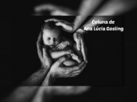 Às Quartas – Litígio