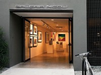 Galeria Nicoli: um novo e excelente espaço em São Paulo para novos artistas!