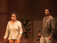 Com direção de Rodrigo Portella, a peça “Nerium Park”,  do catalão Josep Maria Miró, reestreia dia 3 de novembro  no Teatro Dulcina