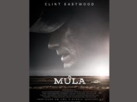 A MULA: novo longa de Clint Eastwood traz uma história simples e intensa