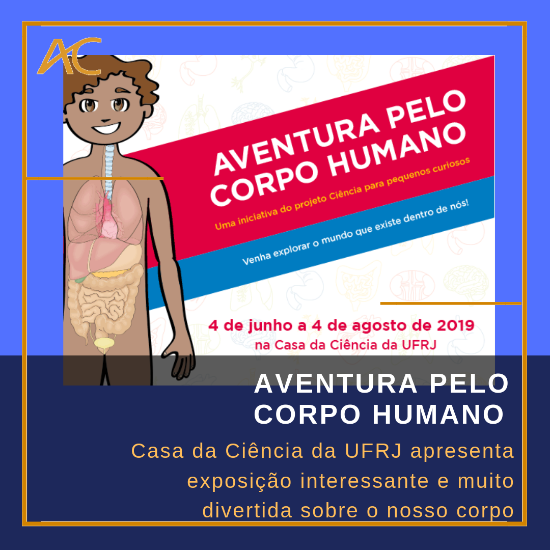 Aventura Pelo Corpo Humano Casa Da Ci Ncia Da Ufrj Apresenta Exposi O Interessante E Muito