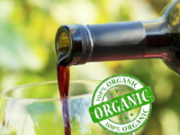 Vinhos Orgânicos : Produção em crescimento