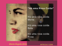 Grandes Autores – Maria Ângela Alvin : “Há uma rosa caída”