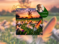 SEXTAS POÉTICAS: Confira o poema (INÉDITO!) “PERGUNTAS” de Tanussi Cardoso e suas imperdíveis dicas culturais!