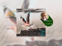 SEXTAS POÉTICAS: Confira os poemas “ORAÇÃO” (inédito!) e “FOTOGRAFIA” de Tanussi Cardoso e suas imperdíveis dicas culturais!