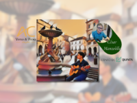 CONTO DE QUINTA: O pombo e o músico