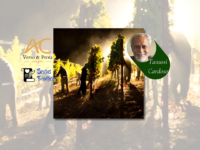 SEXTAS POÉTICAS: Confira os poemas “DA COLHEITA” e “NOITE” de Tanussi Cardoso e suas imperdíveis dicas culturais!