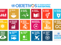 O Instituto Bienal Amazônia (IBA) faz chamada aberta para filmes que tenham os 17 ODS da ONU como eixo principal e que serão exibidos na COP 30