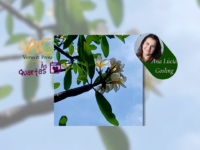 Às Quartas – Jasmim-manga