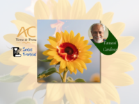 SEXTAS POÉTICAS: Confira o poema inédito “PARA QUEM AMA” de Tanussi Cardoso e suas imperdíveis dicas culturais!