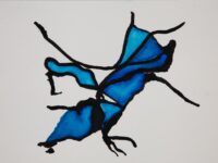 Daniele Bloris apresenta a exposição ‘Metamorfoses’, com curadoria de Lia do Rio, na Casa Paulo Branquinho