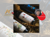 VINÍCOLAS BOUTIQUE: conhecendo um pouco da CÁRDENAS, uma joia da Serra do Sudeste/RS