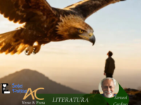 SEXTAS POÉTICAS: Confira os poemas “UM OUTRO OLHAR” e “CARNE SERENA” de Tanussi Cardoso e suas imperdíveis dicas culturais!