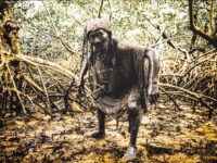 Bienal das Amazônias estreia na Bienal Kochi-Muziris, na Índia, com a exposição Força Interior