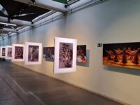 Programação gratuita: SPED lança exposição fotográfica aberta ao público sobre espetáculo do Projeto Especial em Dança