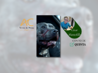 CONTO DE QUINTA: Mafalda