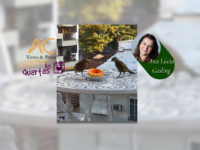 Às Quartas – Janeiro