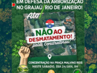 Moradores do Grajaú lutam para salvar árvores do bairro