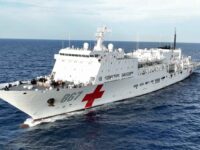 Navio-médico chinês e dois transatlânticos da MSC atracam no Pier Mauá nesta quinta (08/01)