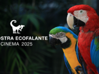 5ª Mostra Ecofalante de Cinema 2026 prorroga as inscrições