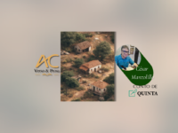 CONTO DE QUINTA: Letargia