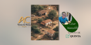 CONTO DE QUINTA: Letargia