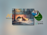 CONTO DE QUINTA: Vizinhos