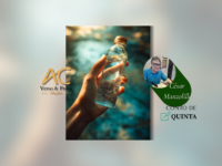 CONTO DE QUINTA: A morte de Vanessa