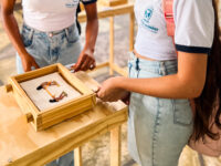 Até 29/05 – Exposição de arte têxtil com memórias ancestrais indígenas “AUTOMATA” convida o público a ativar memórias com obras interativas