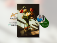 CONTO DE QUINTA: Uma avó