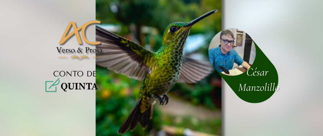 CONTO DE QUINTA: Colibri