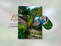 CONTO DE QUINTA: Colibri