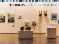 Ação da PRIO com Instituto Vida Livre na SP-Arte