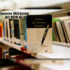 Biblioteca Parque Estadual estreia Visita Literária Guiada com experiências de literatura e interação