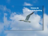 Às Quartas – Ser grande