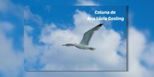 Às Quartas – Ser grande