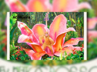 Ney Matogrosso anuncia a turnê 85 Anos de Ousadia com shows pelo país e imagens de David LaChapelle