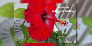 Às Quartas – A vida na selva