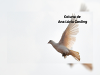 Às Quartas – Utopia Necessária