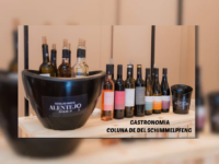 Festival dos Vinhos do Alentejo chega ao Rio com experiências gastronômicas, música e tradição portuguesa