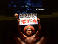 São Paulo recebe primeira Virada Indígena do Brasil