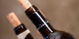 O RIO DE JANEIRO recebe o FESTIVAL DOS VINHOS DO ALENTEJO que reúne gastronomia, música e experiências portuguesas
